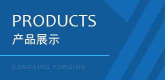 大連東興鍛造有限公司